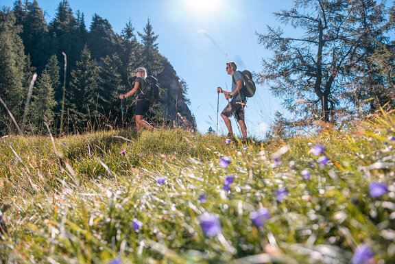 Wanderung auf den Hochstrickl ©Alpbachtal Tourismus, shootandstyle.com Wanderung auf den Hochstrickl ©Alpbachtal Tourismus, shootandstyle.com